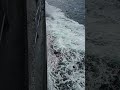 Ocean 🛳️🌊
