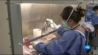 Rusia Al Ree De España Para Salvar A Un Niño Con Difteria