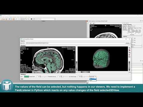 MeVisLab Tutorials - Application Development - Prototype UI and Python Scripting