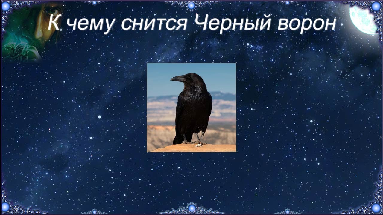 К чему снится Черный ворон (Сонник)