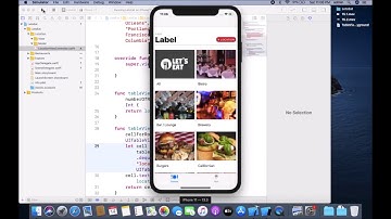 iOS 13 Programming for Beginners | 15.Getting Started with Table Views