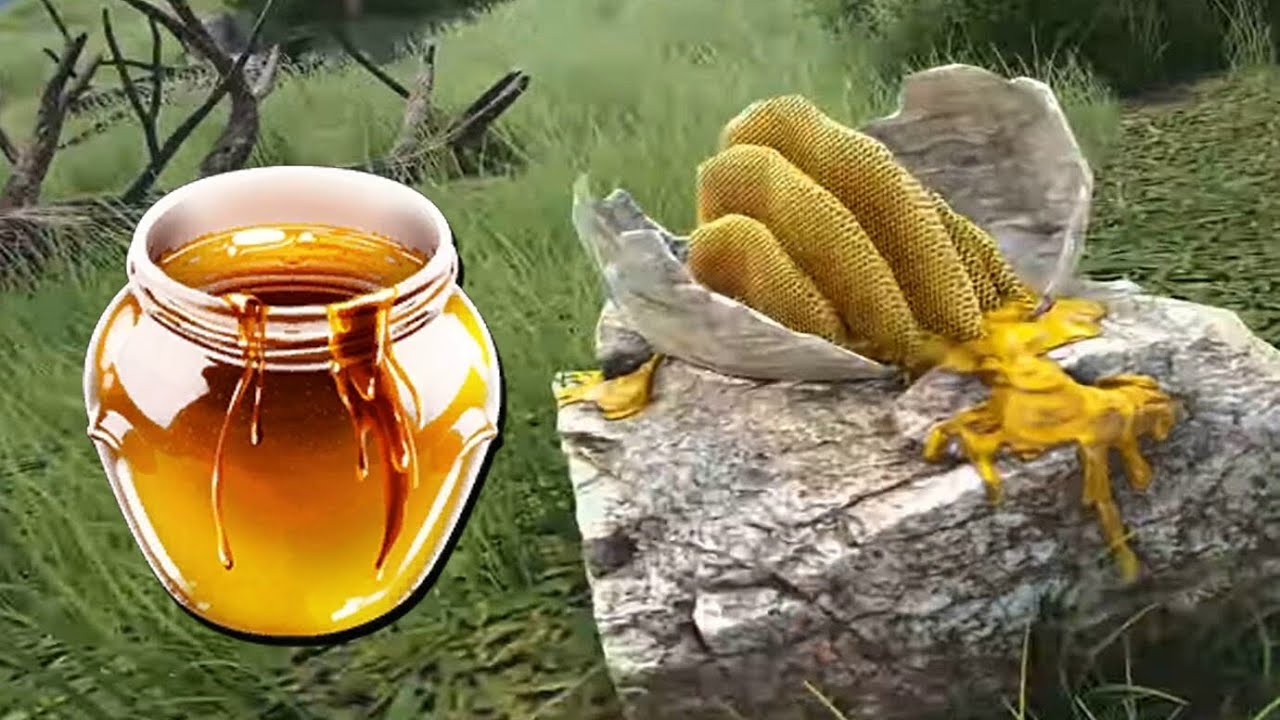 🍯🐝МЕД НА КАРТЕ ФЙОРДУР | ГДЕ НАЙТИ МЕД ГИГАНТСКОЙ ПЧЕЛЫ В АРК🟡 - YouTube