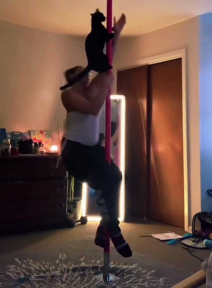 Cat and Its Owner Pole Dancing at Home || ViralHog
