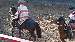 RODEO CLUB EL MELÓN, ASOC. QUILLOTA , MEDIALUNA ALTO EL YUGO, QUILPUE ...cuarto toro 14 - 11 - 21