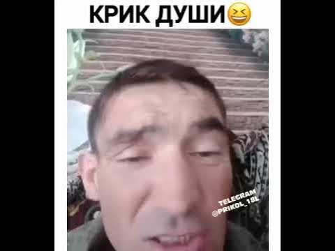 Дамир - YouTube
