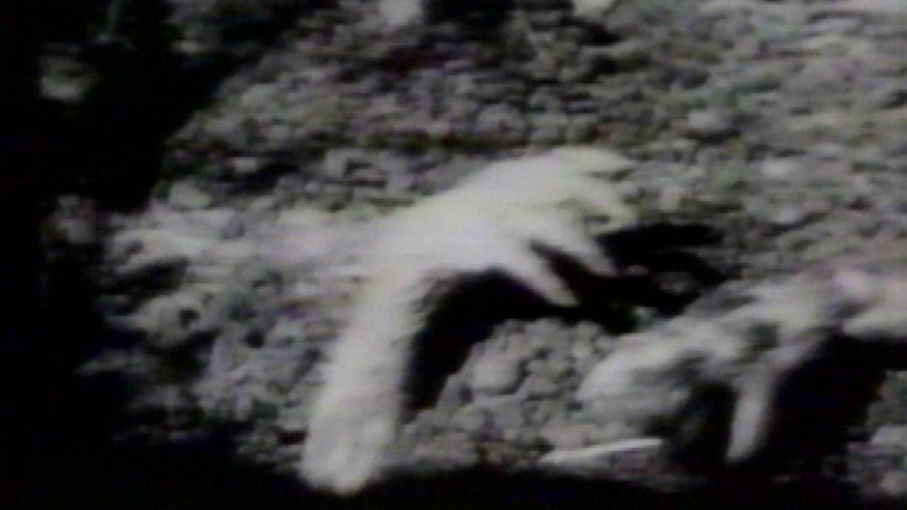 Creature Features Open Wgn Tv 1973 Master Hd - YouTube