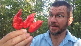 IDIOT EATS 3 GHOST PEPPERS!!!!