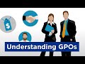 Understanding gpos with bionix