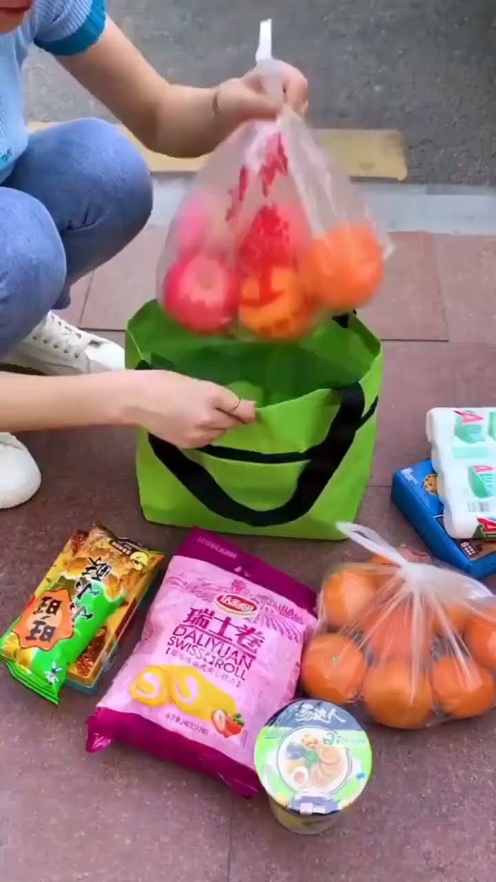Foldable Reusable Earth Friendly Shopping Bag