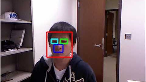 Facial feature detection