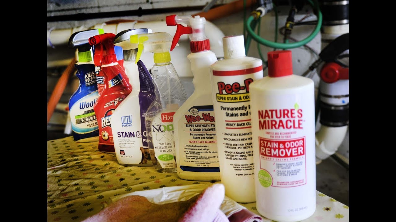 Review on Urine odor removal cleaner YouTube