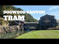 Tram Tour of Dogwood Canyon and the Top of the Rock