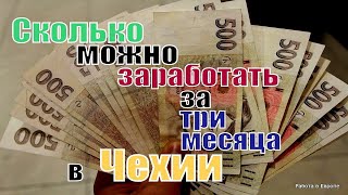 Сколько можно заработать в Чехии за три месяца