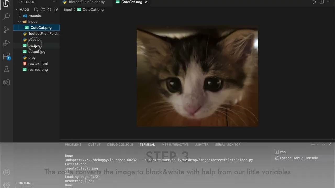 Image to ASCII using python - YouTube