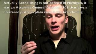 Nutnfancy Response The Concealed Carry Protocol