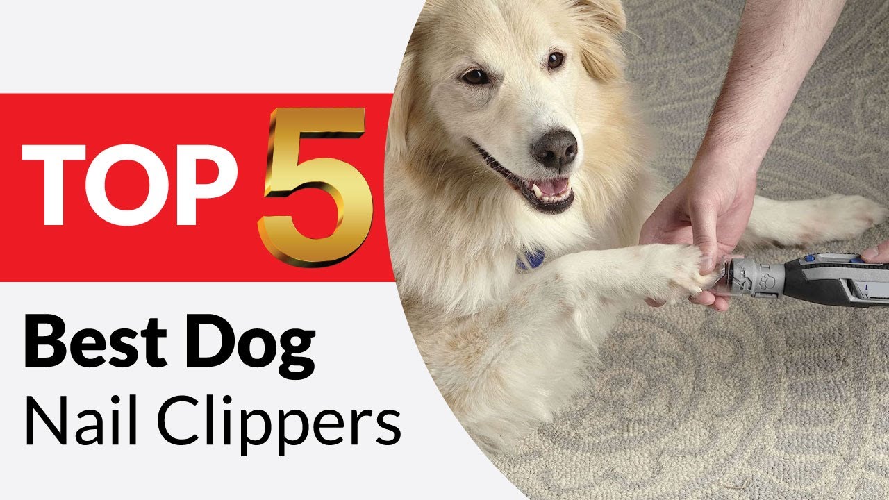 Best Dog Nail Clippers In 2024 | Bored Panda