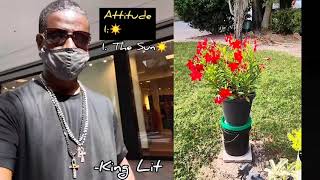 Sun Number 1, Birth Number 8 &  Listen To Your Life Path# Also. I👁️ Got You.