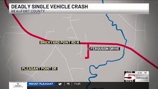 VIDEO: Driver dies in late-night Beaufort County crash