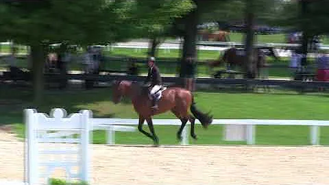 Video of ENDLESS JOY ridden by SARAH BERKOWITZ fro...