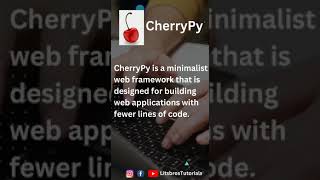 Celebrity Top 7 web development framework in python||#python||#litsbros||#shorts Net Worth