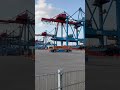 Automated Guided Vehicles at our modern and climate-friendly seaport terminal in Hamburg