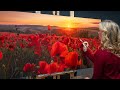 Set your paintings on fire with backlighting  poppy flower oil painting tutorial