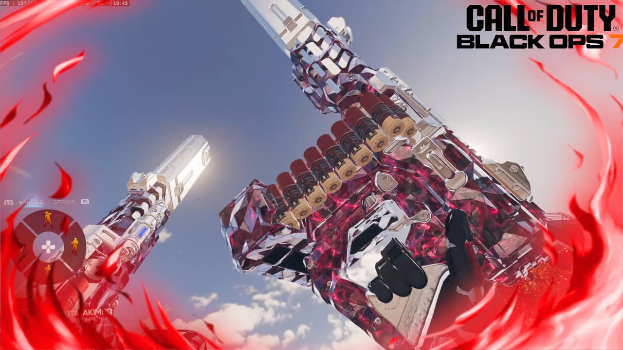 C'EST QUOI CETTE ACCESSOIRE DE MALADE (double akita)