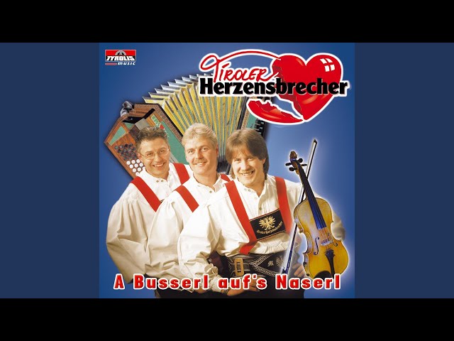 Tiroler Herzensbrecher - Disco Polka