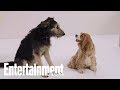 The Furry Stars Of 'Lady And The Tramp' Tell All | PeopleTV | Entertainment Weekly