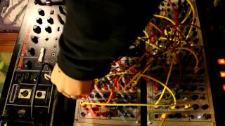 Serge Creature, Gator, Soup kitchen 2 , Roland Chorus echo jam