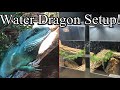 How to Setup a Chinese Water Dragon Enclosure