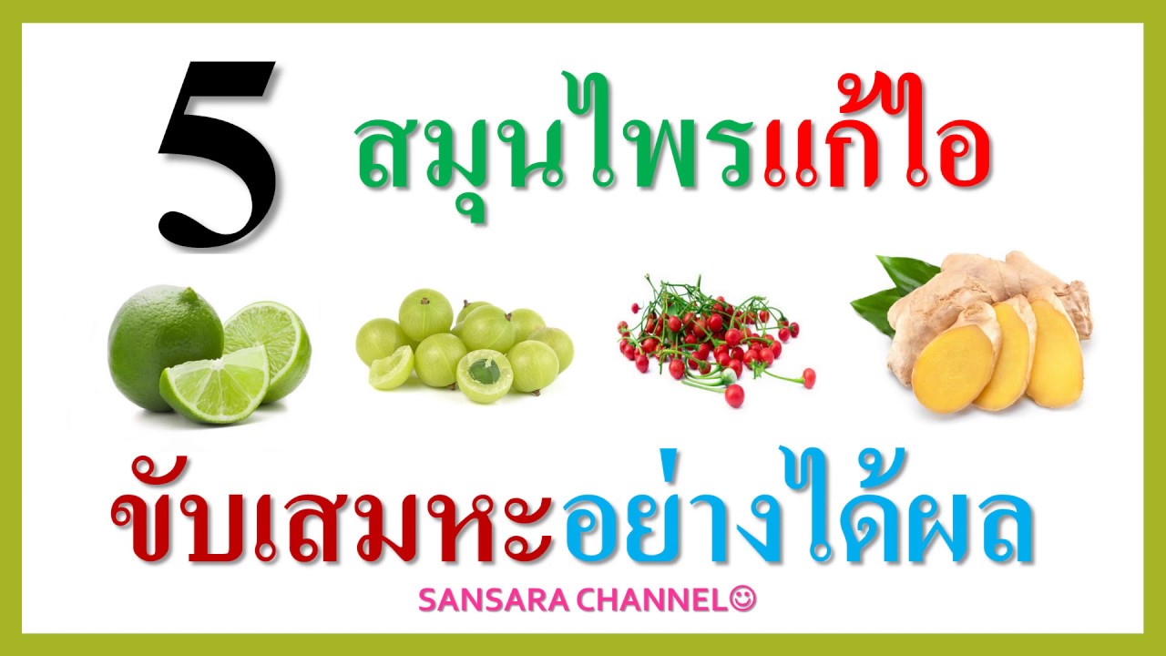 5 สมุนไพรแก้ไอและขับเสมหะอย่างได้ผล | สุขภาพ