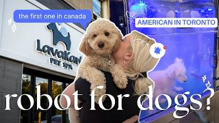 We tested Canada's FIRST automatic dog spa so you don't have to