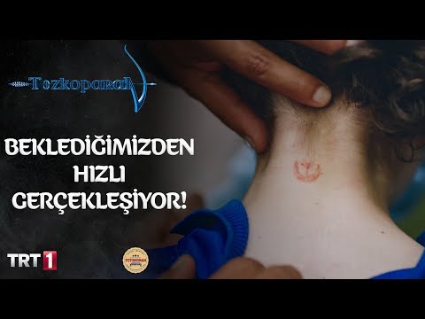 Mete'nin destanı! - Tozkoparan 28.Bölüm