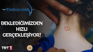 Mete'nin destanı! - Tozkoparan 28.Bölüm