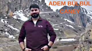 Adem Bülbül &Caney & Arabesk 