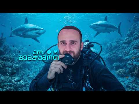 რატომ მოფრინავენ აქ მთელი მსოფლიოდან?