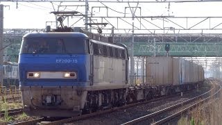 JR貨物 EF200-15 貨物列車 (1055レ 吹田区のEF200が代走) 稲沢駅 貨物線
