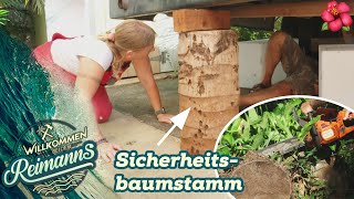 Kettensäge und Konnyfuzius: Mit Gelassenheit zum SICHERHEITSBAUMSTAMM | Willkommen bei den Reimanns