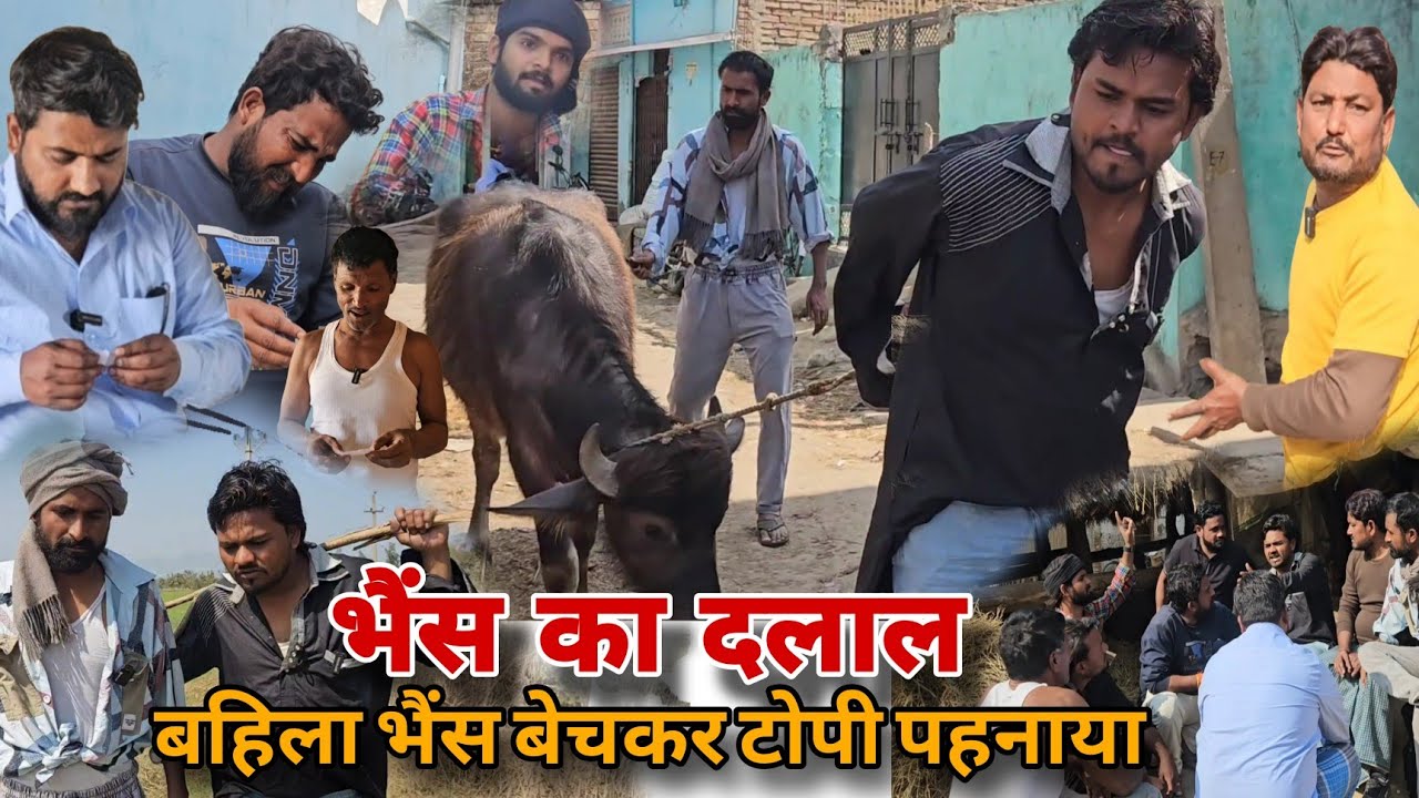 भैंस का दलाल ||Bhais Ka Dalal से एक भैंस के तीन सौ खरीदार|देशी कॉमेडी|Imran Sabbu Ke Comedy