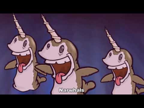 Narwhals song swimming in the ocean !