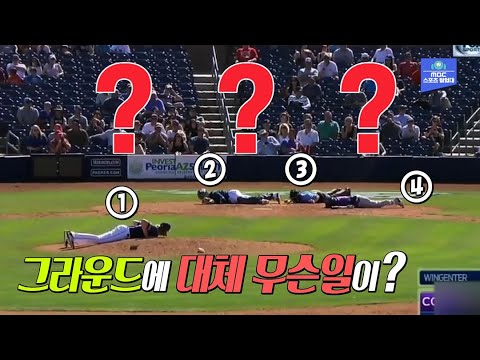 '놀라고, 엎드리고, 도망가고'!! MLB 경기장을 습격한 그들(?)의 정체는?