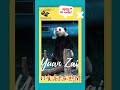 打食高手在熊間 #panda #圓仔 #yuanbao