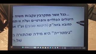 חשוב ביותר על הקודים בתורה  פרופסור  הראליק  פרופסור ריפס  הרב מתתיהו גלזרסון