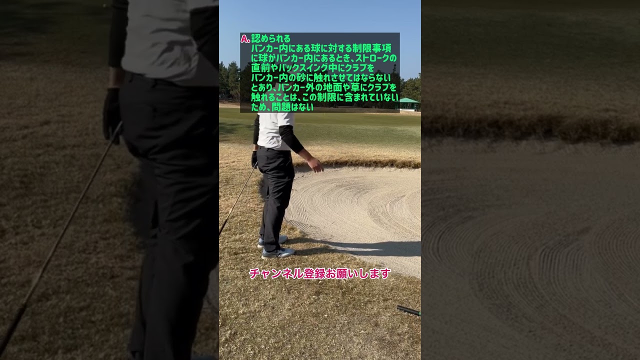 【ゴルフ】クイズ ゴルフルールと処置の仕方 バンカー編 239問目#shorts