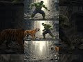 Hulk or tiger ka video #tiktovideo #Voiral shorts #trendingshorts