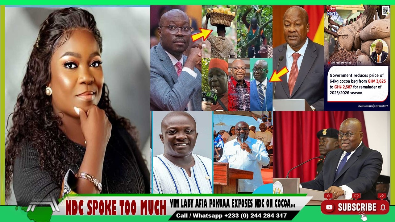 “I’m Ashamed For Mahama” Vim Lady Exposes: NDC Gurus Sad For Their Party: Ato Forson Regret-