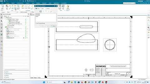 How to create a break out section view in NX drawing (version NX2312)