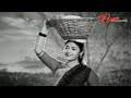 Kalasi Vunte Kaladu Sukham - Telugu Songs - Mudda Banthi Poolu Petti - NTR - Savitri Mp3 Song