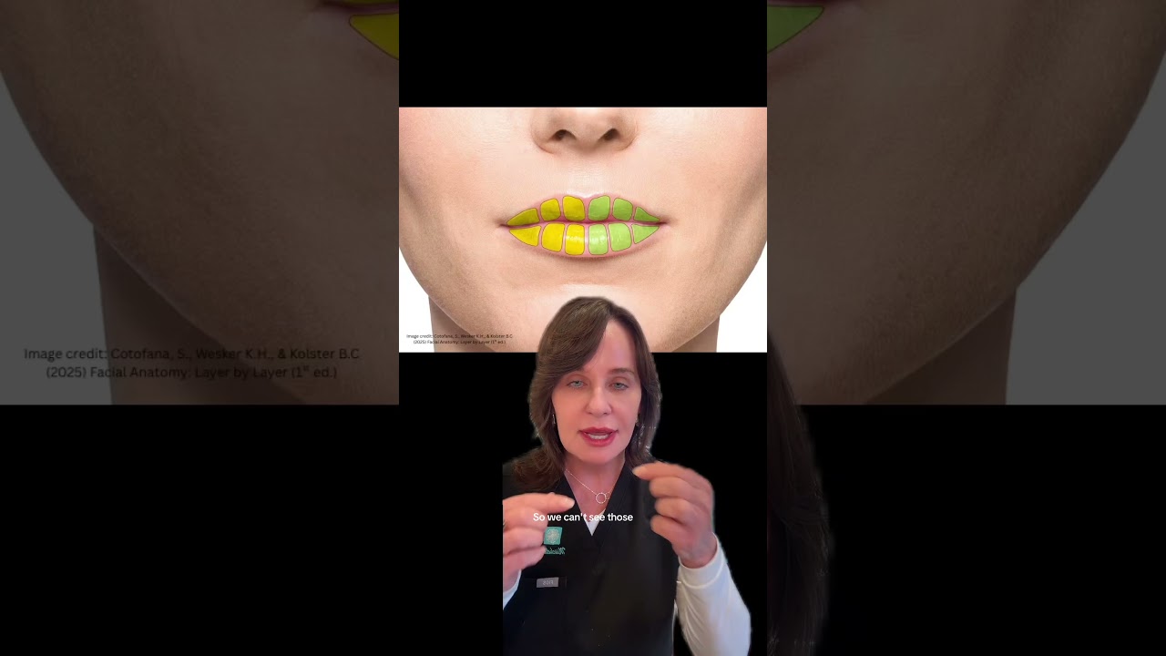 Lip Compartments Explained 💋💉
